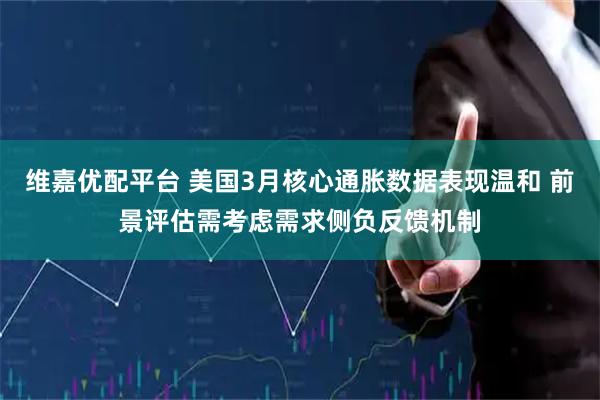 维嘉优配平台 美国3月核心通胀数据表现温和 前景评估需考虑需求侧负反馈机制